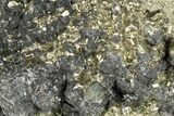 Massive Sphalerite and Pyrite Crystal Cluster - Peru #271546-1